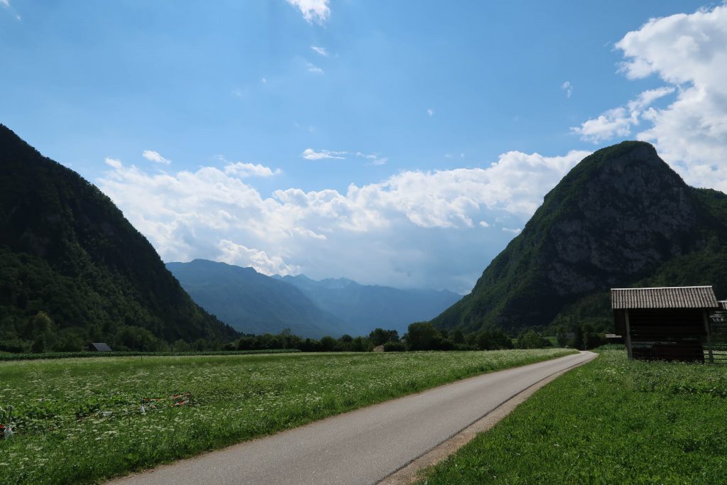 the Mama Manual scenery